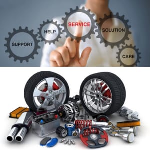 Global Bike Transport