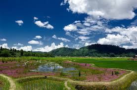 Lower Subansiri