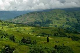 Tirap