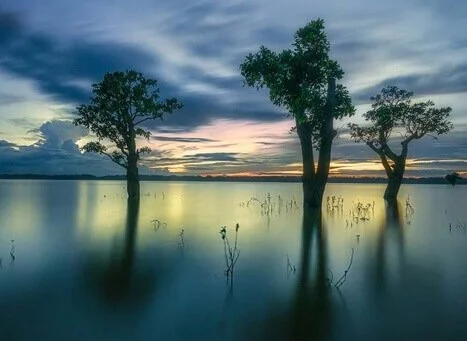 Karimganj
