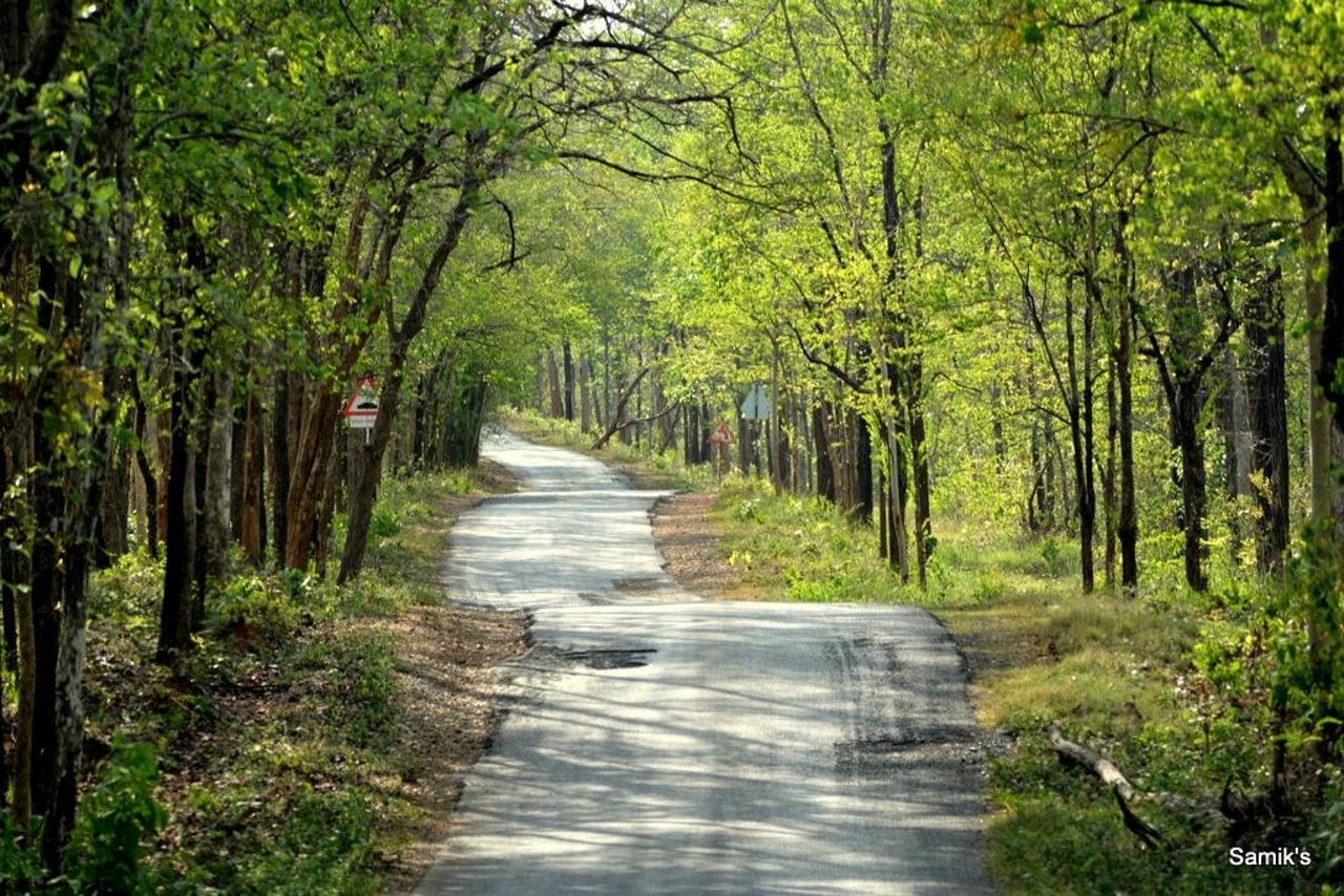 Gondiya